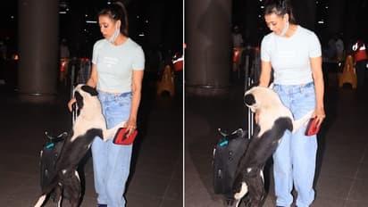 When Shweta Tiwari reached Mumbai airport; actress was greeted by enthusiastic dog named 'Rampal' (Watch)