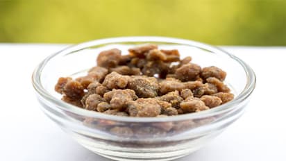 Asafoetida : ಅಡುಗೆಯ ರುಚಿ ಹೆಚ್ಚಿಸುವ ಈ ಇಂಗು, ಆರೋಗ್ಯಕ್ಕೂ ಬೇಕು, ಅತಿಯಾಗಬಾರದಷ್ಟೇ!