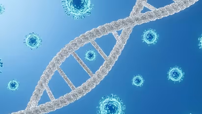 Coronavirus: India reports 30,256 new COVID-19 cases; Kerala contributes 19,653 cases