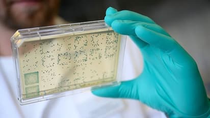 কোভিড সংক্রমণ উর্ধ্বমুখী রাজ্যের এই জেলাগুলিতে, ধীরগতিতে বাড়ছে সুস্থতার হার, দেখুন ছবি