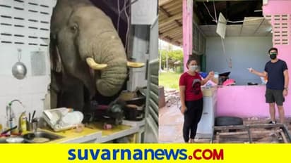 ಎಂಥಾ ಹಸಿವು..! ಅಡುಗೆಕೋಣೆಯ ಗೋಡೆ ಒಡೆದು ಆಹಾರ ತಿಂದ ಆನೆ