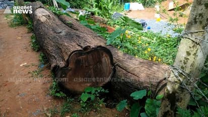 മുട്ടിൽ മരം മുറിക്കേസിൽ രണ്ട് ഉദ്യോഗസ്ഥർക്ക് സസ്പെൻഷൻ; നടപടി ചെക്പോസ്റ്റ് ഡ്യൂട്ടിയിലുണ്ടായിരുന്നവർക്കെതിരെ