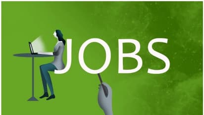 Government Job: पंजाब बिजली विभाग ने निकाली बंपर भर्तियां, सिलेक्शन के लिए नहीं होगा एग्जाम