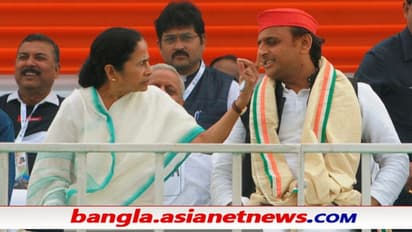 উত্তরপ্রদেশের ভোটেও মমতার 'খেলা হবে', তৃণমূলের বই থেকে পাতা ধার নিল সপা