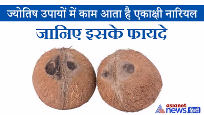 तंत्र और ज्योतिष उपायों में काम आता है एकाक्षी नारियल, इसे घर में रखने से बनी रहती है सुख-समृद्धि