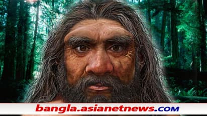 'ড্রাগন ম্যান' - বদলে দিল মানব বিবর্তনের ইতিহাস, খোঁজ মিলল সবচেয়ে কাছের পূর্বপুরুষের