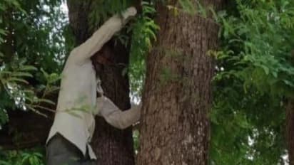 वैक्सीन लगवाने पहुंची पत्नी, तो आधार कार्ड लेकर पेड़ पर चढ़ गया पति..डोज खत्म होने के बाद आया नीचे