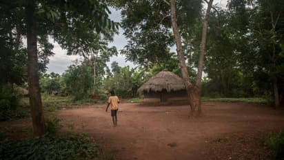 കൊവിഡ് മഹാമാരി, പട്ടിണി, ദാരിദ്ര്യം: തൊഴിലെടുക്കാൻ നിർബന്ധിക്കപ്പെട്ട് കുഞ്ഞുങ്ങൾ