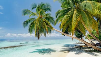 Visa Free: বিনা ভিসা মালদ্বীপের জন্য, করোনা -বিধি শিথিল হওয়ার পরে ২০১৮ সালের চুক্তি কার্যকর কেন্দ্রের