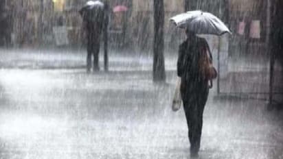 దంచికొడుతున్న వానలు.. ఐదు రోజుల పాటు ఈ ప్రాంతాల్లో భారీ వర్షాలు.. : ఐఎండీ