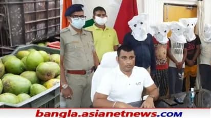 আমের আড়ালে মাদক পাচার, উড়িষ্যার থেকে রাজ্যে ঢুকতেই পুলিশের জালে ৬