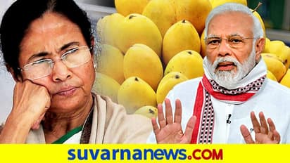 ಪ್ರಧಾನಿ ಮೋದಿಗೆ ಬಂಗಾಳದ ಸಿಹಿ ಮಾವು ಕಳಿಸಿದ ದೀದಿ..!