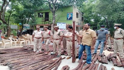 భారీ ఎర్రచందనం డంప్ కనుగొన్న టాస్క్ ఫోర్స్.. 348 ఎర్రచందనం దుంగలు స్వాధీనం...