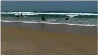 ലോകത്തിലെ ഏറ്റവും മനോഹര ബീച്ചുകളിൽ ഇടം നേടി കേരള തലസ്ഥാനത്തെ ഈ ബീച്ചും 