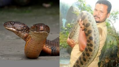 കുരങ്ങനും ചീങ്കണ്ണിയും ആക്രമിച്ചിട്ടും തുടര്ന്നു; ഒടുവില് സഹപ്രവര്ത്തകരെ സുരക്ഷിതരാക്കി ഹർഷാദിന്റെ മടക്കം