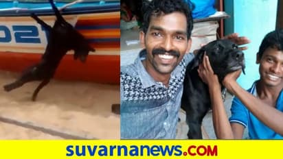 ಹಾಯಾಗಿ ಮಲಗಿದ್ದ ನಾಯಿಯನ್ನು ತೂಗಿಸಿ ಕಟ್ಟಿ ಬಡಿದು ಕೊಂದ ರಕ್ಕಸರು..!