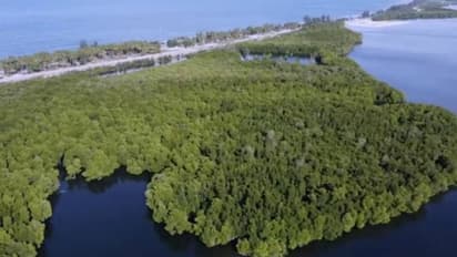 ഈ വനത്തിൽ പ്രവേശനം സ്ത്രീകൾക്ക് മാത്രം, നഗ്നരായി വേണം കഴിയാൻ, ഒളിച്ചുനോക്കാൻ വന്നാൽ പുരുഷന്മാർക്ക് പിഴ!