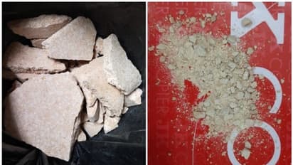 ബെംഗളൂരുവിൽ വൻ ലഹരിവേട്ട; 56 കോടി രൂപയുടെ ഹെറോയിനുമായി വിദേശ വനിത പിടിയില്