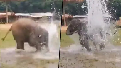 Watch Elephant playing with broken water pipe; adorable video will make your day