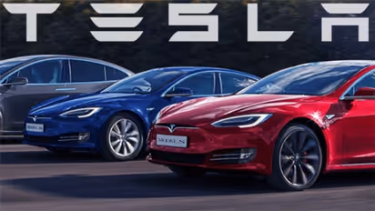 ಕೇಂದ್ರದಿಂದ ತಾರಮತ್ಯ ಬೇಡ; ಟೆಸ್ಲಾ ಆಮದು ಸುಂಕ ಕಡಿತ ಮನವಿಗೆ ಟಾಟಾ ಮೋಟಾರ್ಸ್ ತಿರುಗೇಟು!