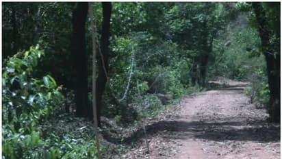 অদ্ভুদ Lifestyle, একটি মাত্র স্বপ্ন নিয়ে ১৭ বছর গাড়িতে বনবাসে এই মানুষটি