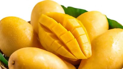 Mango Benefits :  വണ്ണമുള്ളവര്‍ മാമ്പഴം കഴിക്കുന്നത് ശരീരത്തിന് നല്ലതോ?