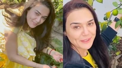 വീട്ടില്‍ വളര്‍ന്ന സ്‌ട്രോബെറി പറിച്ചെടുക്കുന്ന പ്രീതി സിന്‍റ; പുതിയ വീഡിയോയും വൈറല്‍