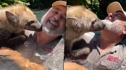 Watch Hyena showering kisses on zookeeper; viral video