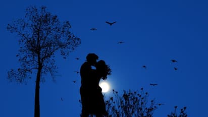 ಇಲ್ಲಿ ಕಿಸ್ ಮಾಡುವಂತಿಲ್ಲ; ಜೋಡಿಗಳ ಚುಂಬನ ನೋಡಲಾರದೆ ಬೋರ್ಡ್ ಹಾಕಿದ ಹೌಸಿಂಗ್ ಸೊಸೈಟಿ!