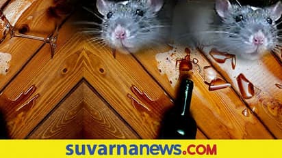 ಗುಂಡಿನ ಮತ್ತೇ ಗಮ್ಮತ್ತು... ಲಾಕ್ ಡೌನ್ನಲ್ಲಿ ನಶೆ ಏರಿಸಿಕೊಂಡ ಮೂಷಿಕ ಪಡೆ!