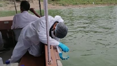 गंगा नदी की कोरोना रिपोर्ट आई, 16 जगहों पर लिए थे सैंपल, वैज्ञानिकों ने 1 माह जांच के बाद दिया रिजल्ट