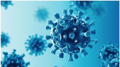 കൊവിഡ് അവസാനിച്ചിട്ടില്ല; നിയന്ത്രണങ്ങൾ ഒഴിവാക്കുന്നതിനെതിരെ വിമര്ശനവുമായി ഡബ്ല്യുഎച്ച്ഒ