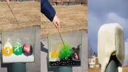 കൗതുകമായി യൂട്യൂബറുടെ പരീക്ഷണം; വീഡിയോ കാണാം...