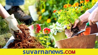 ವಾಸ್ತುಪ್ರಕಾರ ತೋಟ ಅಲಂಕರಿಸಿದ್ರೆ ಆರ್ಥಿಕ ಪ್ರಗತಿ..!