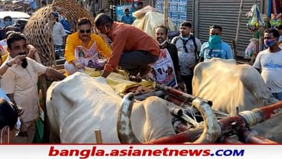 পেট্রোপণ্যের মূল্যবৃদ্ধি নিয়ে অভিনব প্রতিবাদ মদন মিত্রর, গরুর গাড়ি চড়লেন বিধায়ক