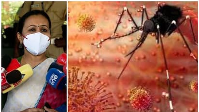 സിക്ക, ഡെങ്കിപ്പനി പ്രതിരോധം: എല്ലാ ജില്ലകളും ആക്ഷന്‍ പ്ലാന്‍, മൈക്രോ കണ്ടൈന്‍മെന്‍റ്  ശക്തമാക്കും