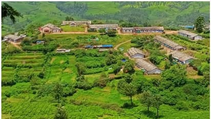 തോട്ടങ്ങളിൽ തൊഴിൽ വകുപ്പിന്റെ പരിശോധന; മിക്കയിടങ്ങളിലും ലയങ്ങൾ ശോച്യാവസ്ഥയിൽ, കർശന നടപടിയെന്ന് മുന്നറിയിപ്പ്