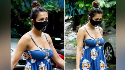 লো ডিপ নেকের চারপাশে উপচে পড়ছে সুডৌল 'স্তনযুগল', 'Big Size' নিতম্বে শরীরী মোচড় মালাইকার