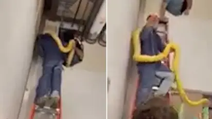 Escaped 12-foot Burmese python found in shopping mall after two days; watch viral video
