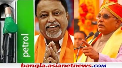 'আন্দোলন করে দাম কমবে না', PAC-Petrol কাউকেই ছাড়লেন না দিলীপ