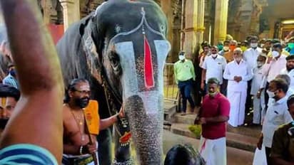 இந்த விஷயத்தில் தயவு தாட்சணை கிடையாது.. கிரிமினல் நடவடிக்கை தான்.. எச்சரிக்கும் அமைச்சர் சேகர்பாபு..!