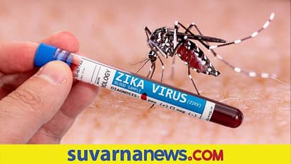 ಕೇರಳದಲ್ಲಿ ಝೀಕಾ, ಕಪ್ಪಾ ವೈರಸ್ : ರಾಜ್ಯ ಬರುವವರಿಗೆ ಟೆಸ್ಟ್ ಕಡ್ಡಾಯ