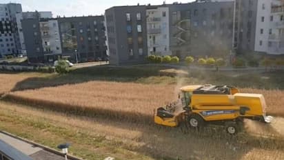 അപാർട്മെന്റുകളുടെ ഇടയിലെ പാടത്ത് വിളവ് കൊയ്തെടുക്കുന്ന കർഷകൻ...