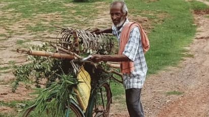 ആയിരക്കണക്കിന് മരങ്ങൾ നട്ട മനുഷ്യൻ, പ്രകൃതിയോടാണ് സ്നേഹമത്രയും!