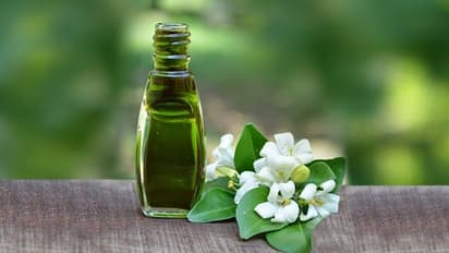 Hair and skin: Timeless benefits of Bhringraj oil you should reap