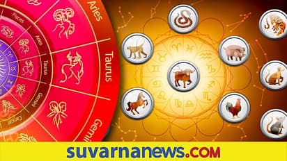 ಈ 4 ರಾಶಿಯವರು ಸೋಲೊಪ್ಪೋದು ವಿರಳ: ನಿಮ್ಮದು ಇದೇ ರಾಶಿನಾ?