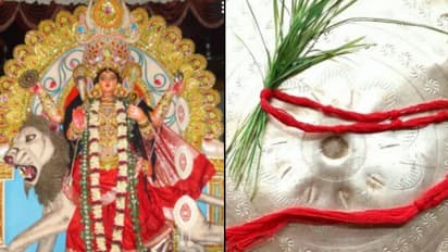 বিপত্তারিণী পুজোর দিন বিপদ এড়াতে ভুলেও করবেন না এই কাজগুলি, দেখা দিতে পারে আর্থিক সমস্যা