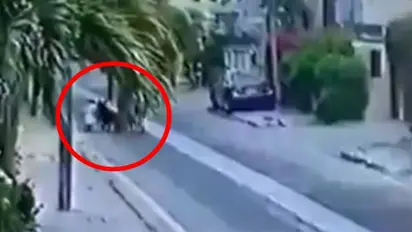 Pet dogs get ‘death sentence’ in Pakistan for mauling a lawyer