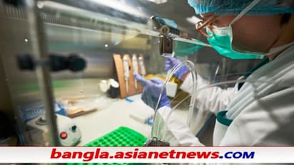 GII: করোনা মহামারি, লকডাউনের বাধা কাটিয়ে এগিয়ে যাচ্ছে ভারত, বিশ্ব ব়্যাঙ্কিংএ স্থান ৪৬