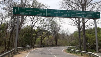 നിപ വൈറസ്: കേരളത്തിലെ 3 ജില്ലകളിൽ നിന്നുള്ള വാഹനങ്ങളിൽ കർണാടക അതിർത്തിയിൽ പരിശോധന